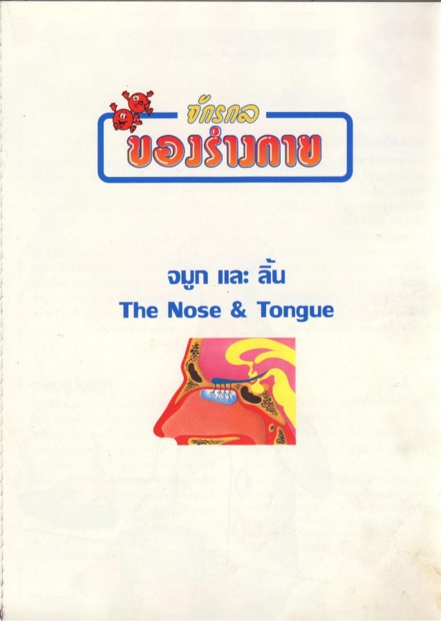 จ กรกลของร างกาย 14 จม กและล น