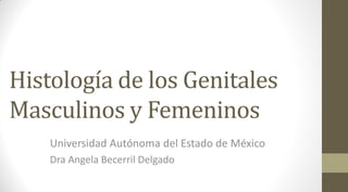 Histología de los Genitales
Masculinos y Femeninos
Universidad Autónoma del Estado de México
Dra Angela Becerril Delgado
 