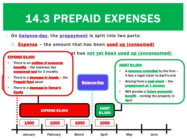 prepaid expenses appear in the prepaid expenses appear in the