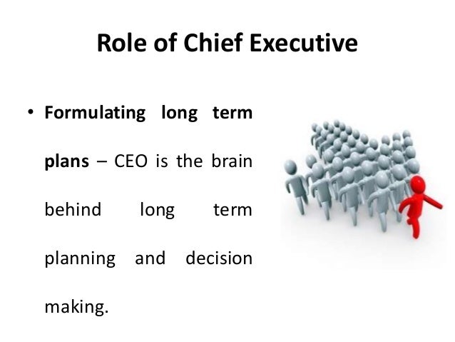 chief executive officer job description