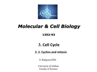 Molecular & Cell Biology
S. Rahgozar,PhD
University of Isfahan
Faculty of Science
3. Cell Cycle
3. 2. Cyclins and mitosis
1392-93
 