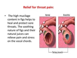 14.health benefits of fig By A;;ah Dad Khan | PPT