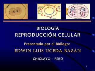 BIOLOGÍA
REPRODUCCIÓN CELULAR
Presentado por el Biólogo:
EDWIN LUIS UCEDA BAZÁN
CHICLAYO - PERÚ
1
 