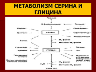 МЕТАБОЛИЗМ СЕРИНА И
ГЛИЦИНА
 