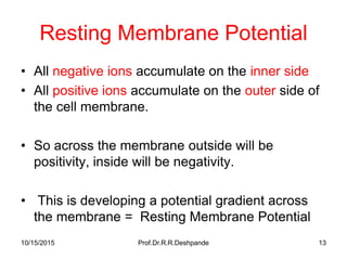 10/15/2015 Prof.Dr.R.R.Deshpande 13
Resting Membrane Potential
• All negative ions accumulate on the inner side
• All positive ions accumulate on the outer side of
the cell membrane.
• So across the membrane outside will be
positivity, inside will be negativity.
• This is developing a potential gradient across
the membrane = Resting Membrane Potential
 