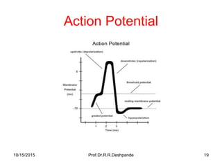 Action Potential
10/15/2015 Prof.Dr.R.R.Deshpande 19
 