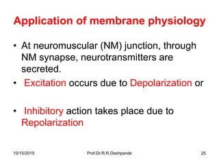10/15/2015 Prof.Dr.R.R.Deshpande 25
Application of membrane physiology
• At neuromuscular (NM) junction, through
NM synapse, neurotransmitters are
secreted.
• Excitation occurs due to Depolarization or
• Inhibitory action takes place due to
Repolarization
 