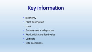 Information and communications technologies for agricultural research and development
