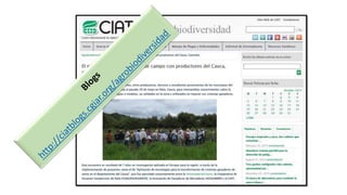 Information and communications technologies for agricultural research and development