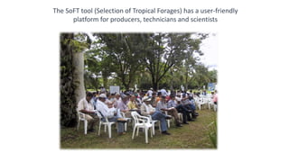 Information and communications technologies for agricultural research and development