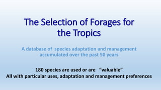 Information and communications technologies for agricultural research and development