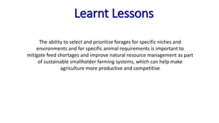 Information and communications technologies for agricultural research and development