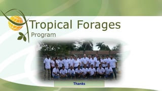 Information and communications technologies for agricultural research and development