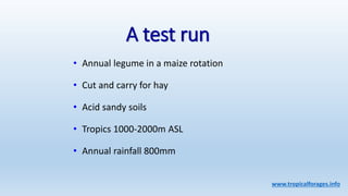 Information and communications technologies for agricultural research and development