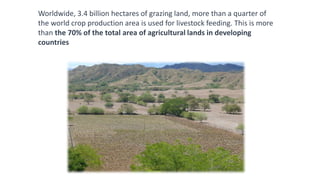 Information and communications technologies for agricultural research and development