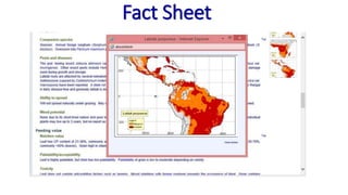 Information and communications technologies for agricultural research and development
