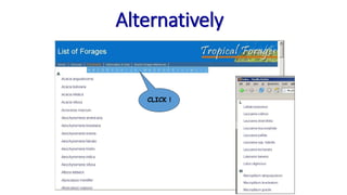 Information and communications technologies for agricultural research and development