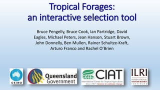 Information and communications technologies for agricultural research and development