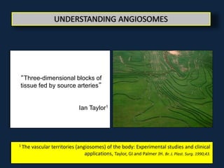 manzi how much does the angiosome concept really matter? | PPTX