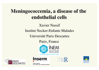 Meningococcemia, a disease of the 
endothelial cells
Xavier Nassif	

Institut Necker-Enfants Malades	

Université Paris Descartes	

Paris, France	

 