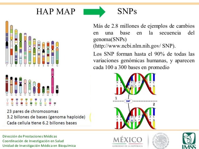La hipertrigliceridemia como factor de riesgo La hipertrigliceridemia como factor de riesgo