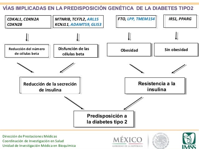 La hipertrigliceridemia como factor de riesgo La hipertrigliceridemia como factor de riesgo