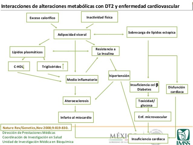 La hipertrigliceridemia como factor de riesgo La hipertrigliceridemia como factor de riesgo