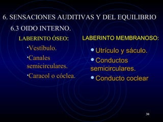 6. SENSACIONES AUDITIVAS Y DEL EQUILIBRIO
6.3 OIDO INTERNO.
LABERINTO ÓSEO:
•Vestíbulo.
•Canales
semicirculares.
•Caracol o cóclea.
LABERINTO MEMBRANOSO:LABERINTO MEMBRANOSO:
Utrículo y sáculo.Utrículo y sáculo.
ConductosConductos
semicirculares.semicirculares.
Conducto coclearConducto coclear
30
 