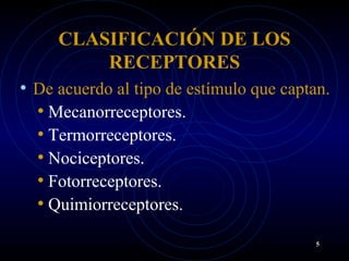 CLASIFICACIÓN DE LOS
RECEPTORES
• De acuerdo al tipo de estímulo que captan.
• Mecanorreceptores.
• Termorreceptores.
• Nociceptores.
• Fotorreceptores.
• Quimiorreceptores.
5
 