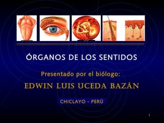 ÓRGANOS DE LOS SENTIDOS
Presentado por el biólogo:
EDWIN LUIS UCEDA BAZÁN
CHICLAYO - PERÚ
1
 