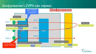 Шифрование L2VPN как сервис
PW/EVPN/PBB (any L2) Circuit Шифрование using
MACSEC
PHY NPU
Fabric
10
G
10
G
10
G
Port 1
Port 2
Port 3
Clear Frame
EFP1
EFP2
EFP3
Phy Secure Channel
Loopback + Clear Tags
DA SA VLAN PAYLOAD FCS
Frame Encryption on Port 2 inside PHY
DA SA VLAN SEGTA
G
PAYLOAD ICV FCS
Clear Frame
DA SA VLAN PAYLOAD FCS
Frame bypass Port 3 MACSEC inside PHY
Encrypted EoMPLS PW
VC
Label
DA SA VLAN SEGTA
G
PAYLOAD ICV FCS
DA SA VLAN SEGTA
G
PAYLOAD ICV FCS
51
Использование
PHY в качестве
сопроцессора
 