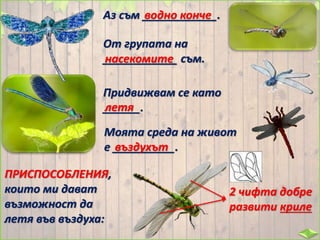 Аз съм ____________.водно конче
От групата на
____________ съм.насекомите
Придвижвам се като
______.летя
Моята среда на живот
е __________.въздухът
ПРИСПОСОБЛЕНИЯ,
които ми дават
възможност да
летя във въздуха:
2 чифта добре
развити криле
 