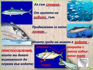 Аз съм ________.скумрия
От групата на
________съм.рибите
Придвижвам се като
________.плувам
Моята среда на живот е ________.водата
ПРИСПОСОБЛЕНИЯ,
които ми дават
възможност да
плувам във водата:
покрито с
люспи издъл-
жено тяло
перки
опашка
 