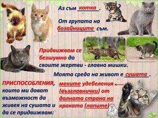 меките удебеления
(възглавнички) от
долната страна на
краката (лапите)
Аз съм _______.котка
От групата на
____________ съм.бозайниците
Придвижвам се
безшумно до
своите жертви - главно мишки.
Моята среда на живот е ________.сушата
ПРИСПОСОБЛЕНИЯ,
които ми дават
възможност да
живея на сушата и
да се придвижвам:
 