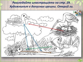 Разгледайте илюстрацията на стр. 29.
Художникът е допуснал грешки. Открий ги.
 