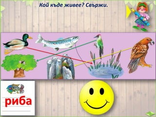 Кой къде живее? Свържи.
риба
 