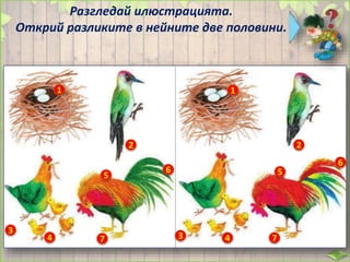 Разгледай илюстрацията.
Открий разликите в нейните две половини.
1 1
2 2
3
34 4
5 56
6
7 7
 
