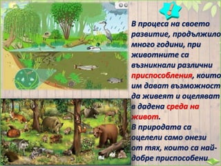 В процеса на своето
развитие, продължило
много години, при
животните са
възникнали различни
приспособления, които
им дават възможност
да живеят и оцеляват
в дадена среда на
живот.
В природата са
оцелели само онези
от тях, които са най-
добре приспособени.
 
