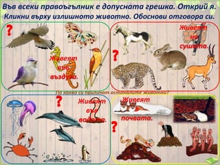 Във всеки правоъгълник е допусната грешка. Открий я.
Кликни върху излишното животно. Обоснови отговора си.
По какво си приличат останалите животни?
Живеят
във
въздуха.
Живеят
на
сушата.
Живеят
във
водата.
Живеят
в
почвата.
 