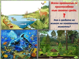 Всеки организъм се
приспособява
към своята среда.
Коя е средата на
живот на показаните
животни?
 
