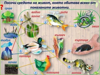 Посочи средата на живот, която обитава всяко от
показаните животни.
1
2
3
4 5 6
7
8
 