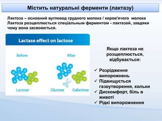 Містить натуральні ферменти (лактазу)
Лактоза – основний вуглевод грудного молока / коров'ячого молока
Лактоза розщеплюється спеціальным ферментом - лактазой, завдяки
чому вона засвоюється.
Якщо лактоза не
розщеплюється,
відбувається:
 Розрідження
випорожнень
 Підвищується
газоутворення, кольки
 Дискомфорт, біль в
животі
 Рідкі випорожнення
 