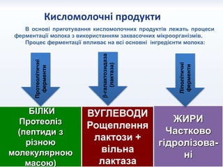 В основі приготування кисломолочних продуктів лежать процеси
ферментації молока з використанням заквасочних мікроорганізмів.
Процес ферментації впливає на всі основні інгредієнти молока:
Кисломолочні продукти
БІЛКИ
Протеоліз
(пептиди з
різною
молекулярною
масою)
Протеолітичні
ферменти
ВУГЛЕВОДИ
Рощеплення
лактози +
вільна
лактаза
-галактозидаза
(лактаза)
ЖИРИ
Частково
гідролізова-
ні
Ліполітичні
ферменти
 