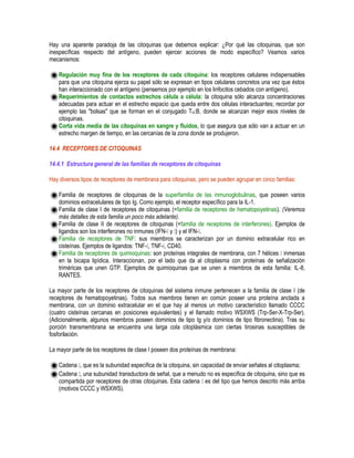 Hay una aparente paradoja de las citoquinas que debemos explicar: ¿Por qué las citoquinas, que son
inespecíficas respecto del antígeno, pueden ejercer acciones de modo específico? Veamos varios
mecanismos:
Regulación muy fina de los receptores de cada citoquina: los receptores celulares indispensables
para que una citoquina ejerza su papel sólo se expresan en tipos celulares concretos una vez que éstos
han interaccionado con el antígeno (pensemos por ejemplo en los linfocitos cebados con antígeno).
Requerimientos de contactos estrechos célula a célula: la citoquina sólo alcanza concentraciones
adecuadas para actuar en el estrecho espacio que queda entre dos células interactuantes; recordar por
ejemplo las "bolsas" que se forman en el conjugado TH:B, donde se alcanzan mejor esos niveles de
citoquinas.
Corta vida media de las citoquinas en sangre y fluidos, lo que asegura que sólo van a actuar en un
estrecho margen de tiempo, en las cercanías de la zona donde se produjeron.
14.4 RECEPTORES DE CITOQUINAS
14.4.1 Estructura general de las familias de receptores de citoquinas
Hay diversos tipos de receptores de membrana para citoquinas, pero se pueden agrupar en cinco familias:
Familia de receptores de citoquinas de la superfamilia de las inmunoglobulinas, que poseen varios
dominios extracelulares de tipo Ig. Como ejemplo, el receptor específico para la IL-1.
Familia de clase I de receptores de citoquinas (=familia de receptores de hematopoyetinas). (Veremos
más detalles de esta familia un poco más adelante).
Familia de clase II de receptores de citoquinas (=familia de receptores de interferones). Ejemplos de
ligandos son los interferones no inmunes (IFN- y ) y el IFN- .
Familia de receptores de TNF: sus miembros se caracterizan por un dominio extracelular rico en
cisteínas. Ejemplos de ligandos: TNF- , TNF- , CD40.
Familia de receptores de quimioquinas: son proteínas integrales de membrana, con 7 hélices inmersas
en la bicapa lipídica. Interaccionan, por el lado que da al citoplasma con proteínas de señalización
triméricas que unen GTP. Ejemplos de quimioquinas que se unen a miembros de esta familia: IL-8,
RANTES.
La mayor parte de los receptores de citoquinas del sistema inmune pertenecen a la familia de clase I (de
receptores de hematopoyetinas). Todos sus miembros tienen en común poseer una proteína anclada a
membrana, con un dominio extracelular en el que hay al menos un motivo característico llamado CCCC
(cuatro cisteínas cercanas en posiciones equivalentes) y el llamado motivo WSXWS (Trp-Ser-X-Trp-Ser).
(Adicionalmente, algunos miembros poseen dominios de tipo Ig y/o dominios de tipo fibronectina). Tras su
porción transmembrana se encuentra una larga cola citoplásmica con ciertas tirosinas susceptibles de
fosforilación.
La mayor parte de los receptores de clase I poseen dos proteínas de membrana:
Cadena , que es la subunidad específica de la citoquina, sin capacidad de enviar señales al citoplasma;
Cadena , una subunidad transductora de señal, que a menudo no es específica de citoquina, sino que es
compartida por receptores de otras citoquinas. Esta cadena es del tipo que hemos descrito más arriba
(motivos CCCC y WSXWS).
 