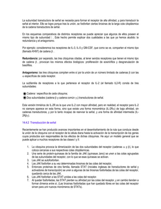 La subunidad transductora de señal se necesita para formar el receptor de alta afinidad, y para transducir la
señal al interior. Ello se logra porque tras la unión, se fosforilan ciertas tirosinas de la larga cola citoplásmica
de la cadena transductora de señal.
En los esquemas comparativos de distintos receptores se puede apreciar que algunos de ellos poseen el
mismo tipo de subunidad . Este hecho permite explicar dos cualidades a las que ya hemos aludido: la
redundancia y el antagonismo.
Por ejemplo: consideremos los receptores de IL-3, IL-5 y GM-CSF, que como se ve, comparten el mismo tipo
(llamado KH97) de cadena .
Redundancia: por separado, las tres citoquinas citadas, al tener sendos receptores que tienen el mismo tipo
de cadena , provocan los mismos efectos biológicos: proliferación de eosinófilos y desgranulación de
basófilos.
Antagonismo: las tres citoquinas compiten entre sí por la unión de un número limitado de cadenas  con las
 específicas de cada receptor.
La subfamilia de receptores a la que pertenece el receptor de IL-2 (el llamado IL2-R) consta de tres
subunidades:
Cadena específica de cada citoquina;
Dos subunidades (cadena  y cadena común C) transductoras de señal.
Esta versión trimérica de IL-2R es la que une IL-2 con mayor afinidad, pero en realidad, el receptor para IL-2
no siempre aparece en esta forma, sino que existe una forma monomérica (IL-2R) de baja afinidad, sin
cadenas transductoras, y por lo tanto incapaz de reenviar la señal, y una forma de afinidad intermedia (IL-
2R).
14.4.2 Transducción de señal
Recientemente se han producido avances importantes en el desentrañamiento de la ruta que conduce desde
la unión de la citoquina con el receptor de la célula diana hasta la activación de la transcripción de los genes
cuyos productos son responsables de los efectos de dichas citoquinas. He aquí un modelo general que se
puede aplicar a muchos receptores de las clases I y II:
1. La citoquina provoca la dimerización de las dos subunidades del receptor (cadenas  y ), lo que
coloca cercanas a sus respectivas colas citoplásmicas.
2. Una serie de proteín-quinasas de la familia de JAK (quinasas Jano) se unen a las colas agrupadas
de las subunidades del receptor, con lo que se esas quinasas se activan.
3. Las JAK se autofosforilan.
4. Las JAK fosforilan a su vez determinadas tirosinas de las colas del receptor,
5. Entonces proteínas de otra familia, llamada STAT (iniciales inglesas de transductores de señal y
activadores de transcripción) se unen a algunas de las tirosinas fosforiladas de las colas del receptor,
quedando cerca de las JAK.
6. Las JAK fosforilan a las STAT unidas a las colas del receptor.
7. Al quedar fosforiladas, las STAT pierden su afinidad por las colas del receptor, y en cambio tienden a
formar dímeros entre sí. (Las tirosinas fosforiladas que han quedado libres en las colas del receptor
sirven para unir nuevos monómeros de STATs).
 