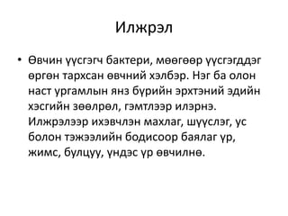 Илжрэл
• Өвчин үүсгэгч бактери, мөөгөөр үүсгэгддэг
өргөн тархсан өвчний хэлбэр. Нэг ба олон
наст ургамлын янз бүрийн эрхтэний эдийн
хэсгийн зөөлрөл, гэмтлээр илэрнэ.
Илжрэлээр ихэвчлэн махлаг, шүүслэг, ус
болон тэжээлийн бодисоор баялаг үр,
жимс, булцуу, үндэс үр өвчилнө.
 