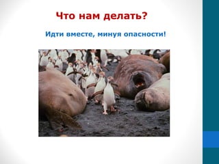 Идти вместе, минуя опасности!
Что нам делать?
 