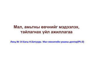 Мал, амьтны өвчнийг мэдээлэх,
тайлагнах үйл ажиллагаа
Лекц № 14 Багш Н.Батсуурь Мал эмнэлгийн ухааны доктор(Ph.D)
 