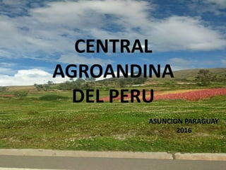 CENTRAL
AGROANDINA
DEL PERU
ASUNCION PARAGUAY
2016
 