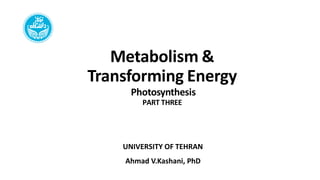 Metabolism &
Transforming Energy
Photosynthesis
PART THREE
UNIVERSITY OF TEHRAN
Ahmad V.Kashani, PhD
 